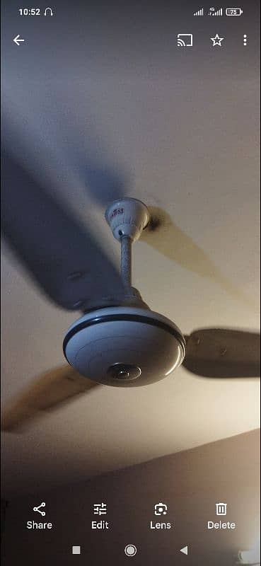 5 ceiling fans 4