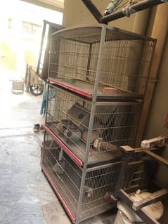 3 portion cage in good condition