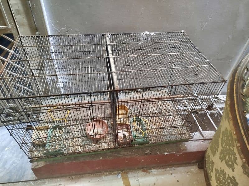 Cage for sale 3