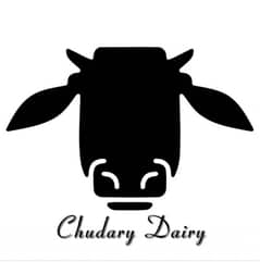 dairy accountant and milk supplier