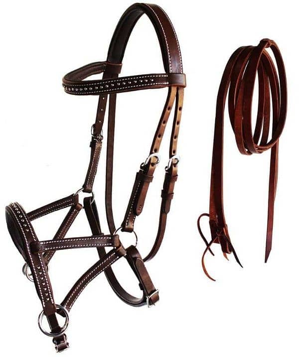 Bitless Horse Bridle 1