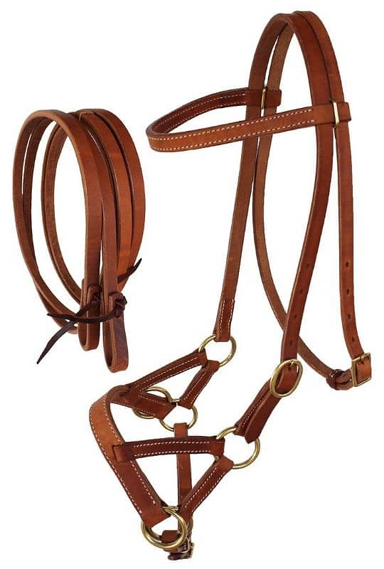 Bitless Horse Bridle 2