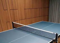 TABLE TENNIS TABLE