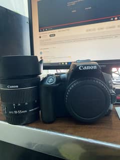 Canon 250d / best camera for vloging