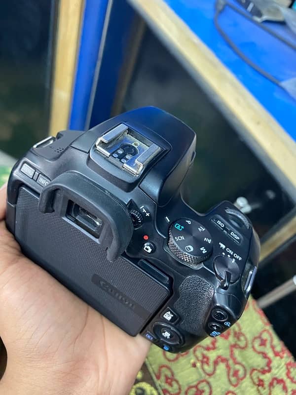 Canon 250d / best camera for vloging 1