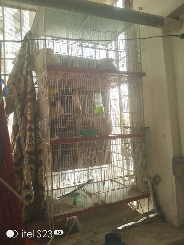 6 portion cage with 1 Australian parrotand love bird blue breeder pair 0