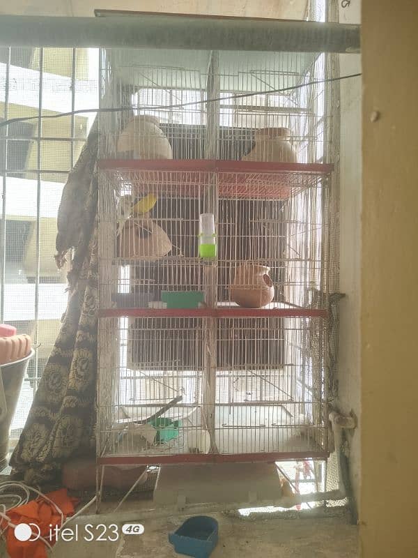 6 portion cage with 1 Australian parrotand love bird blue breeder pair 6