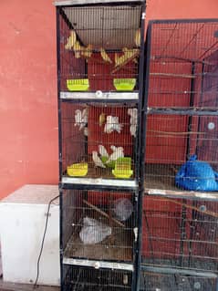 Iron body 4 portions cages 03244667726