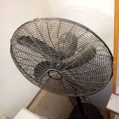 Pedestal Fan