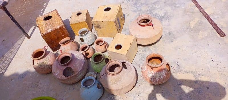 8 Khanoo k Pinjary Or Seed Pot Available 4