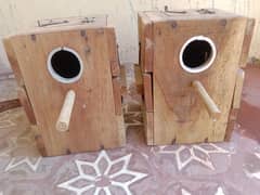 bird's breeding boxes