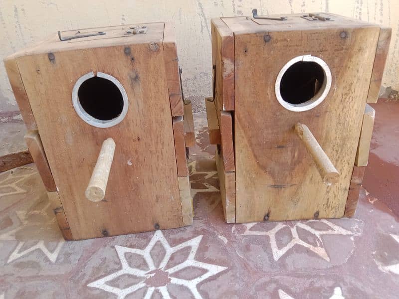 bird's breeding boxes 0