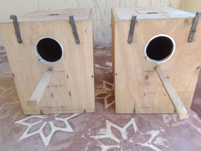 bird's breeding boxes 5