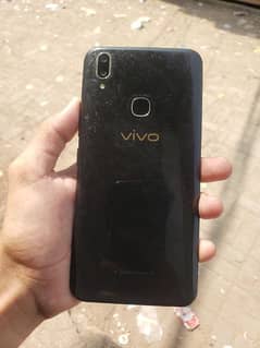 vivo