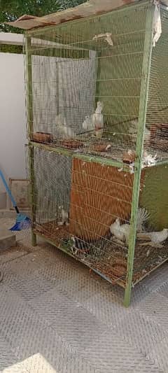 cage for sale 0