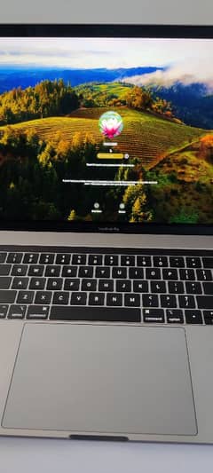 MacBook Pro 2019 1 TB 32 GB Ram 4 gb graphics