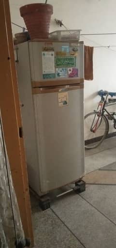 Fridge