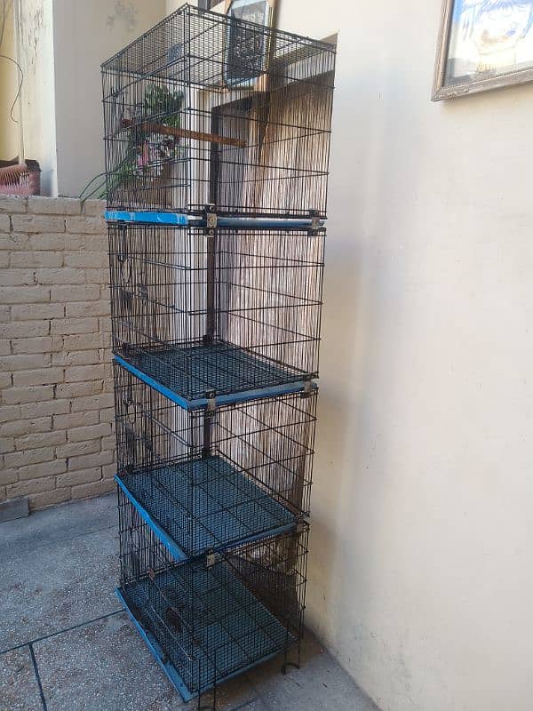 Birds Cage 1