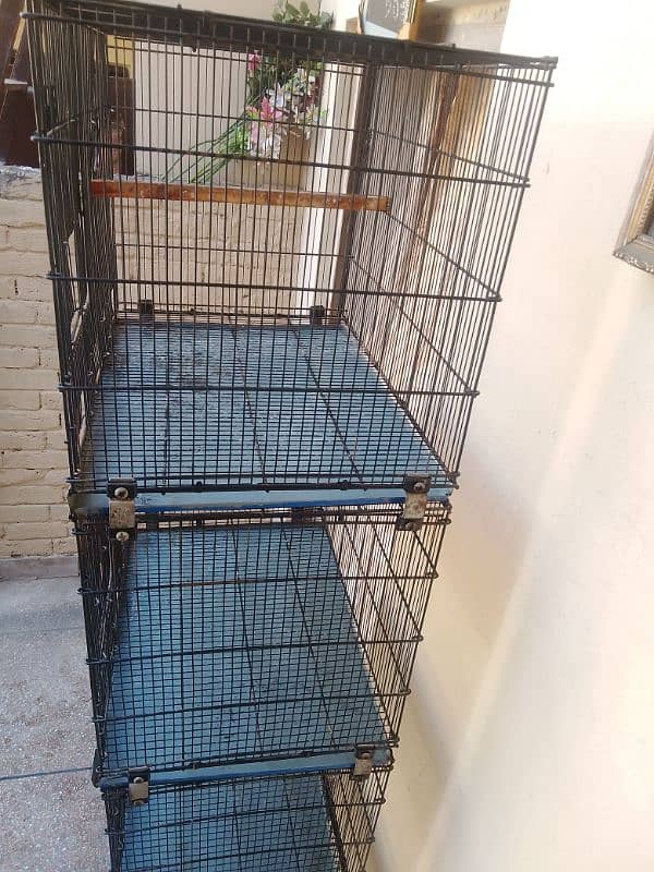 Birds Cage 3