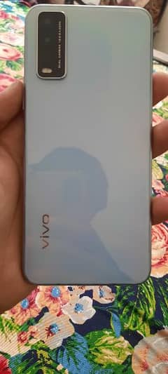 vivo