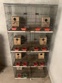 cages for birds