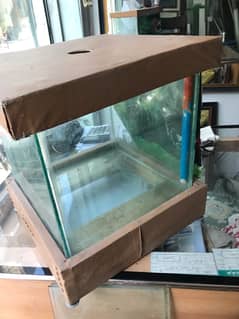 fish equarium O33Z 33 I6I 33 whattsapp