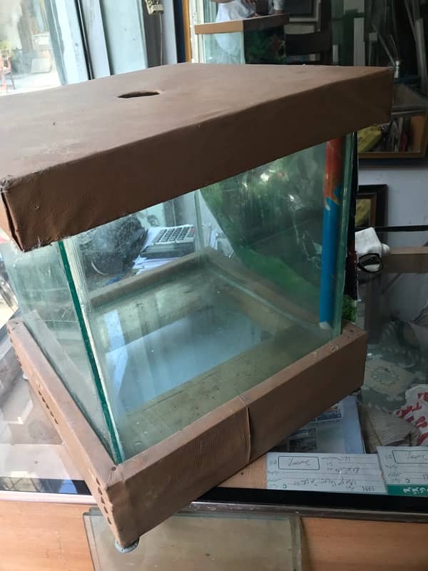 fish equarium O33Z 33 I6I 33 whattsapp 1