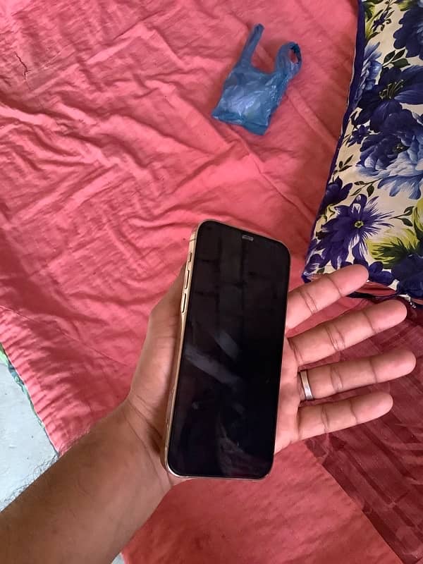 IPHONE 12 pro 256 Gb 3