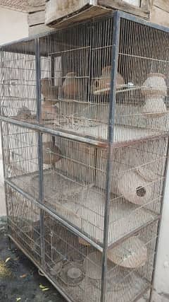 pinjara / bird cage 0