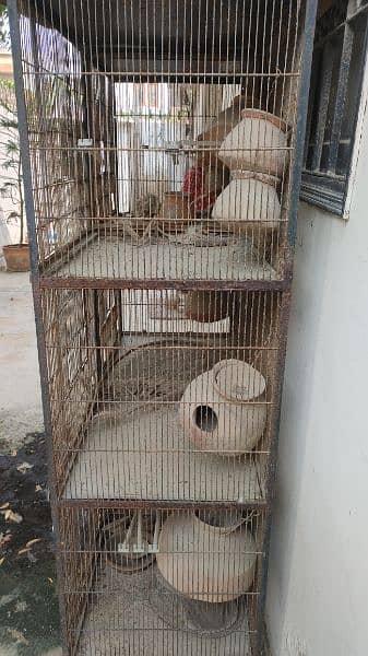 pinjara / bird cage 1