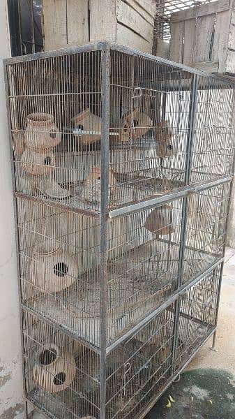 pinjara / bird cage 2