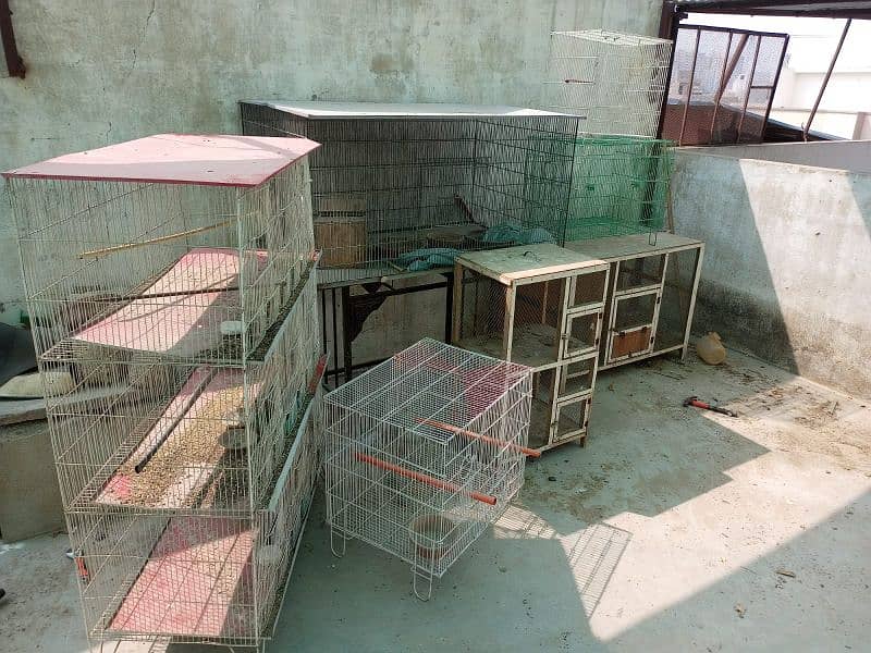 All cages sell 2