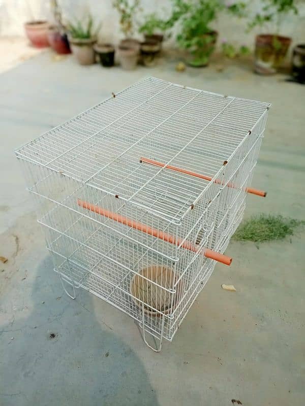 All cages sell 7