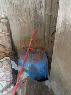 parrot pinjra cage urgent