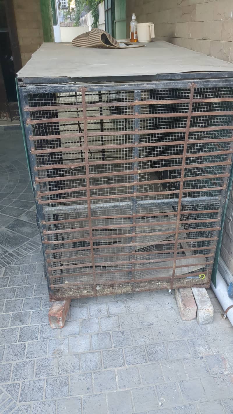 Heavy-Duty Dog Cage for Large Breeds – Looking for a New Home 2