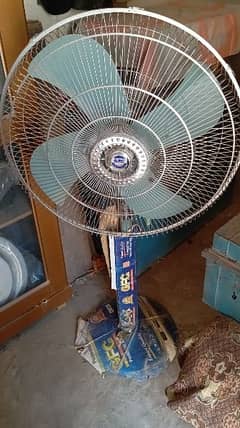 Brand New GFC Pedestal Fan.