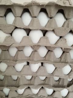 Eggs for sale