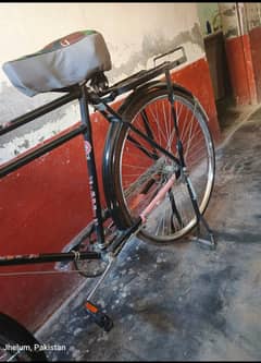 PECO Bicycle 24" 0