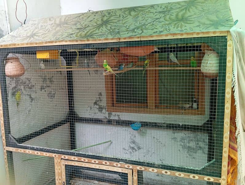 Budgie cage for sale 2