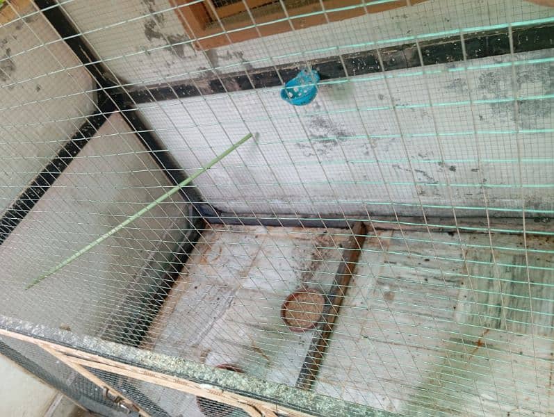 Budgie cage for sale 4