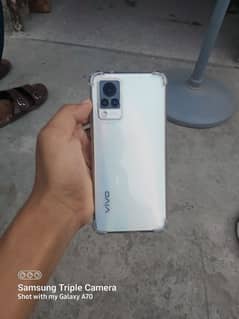 vivo