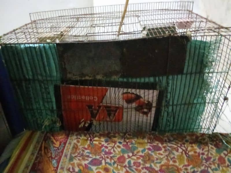 Hen or bird cage 3