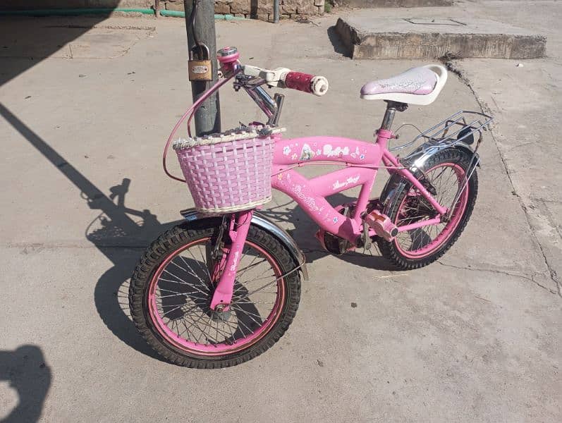 pink bicycle for kids age 4-7 years 5