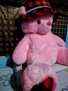 Pink Teddy