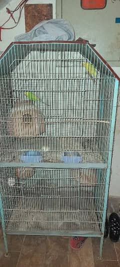 Bird 2 story cage raed full please