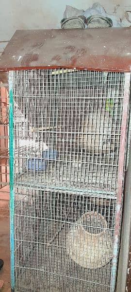 Bird 2 story cage raed full please 1