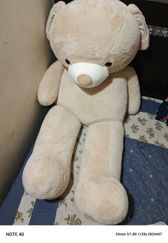 teddy bear 0