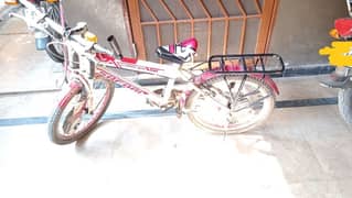 cycle sale