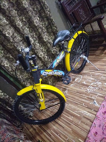 Mint Condition Bicycle Urgent Sale 9