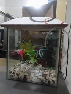 Fish Aquarium & Filter